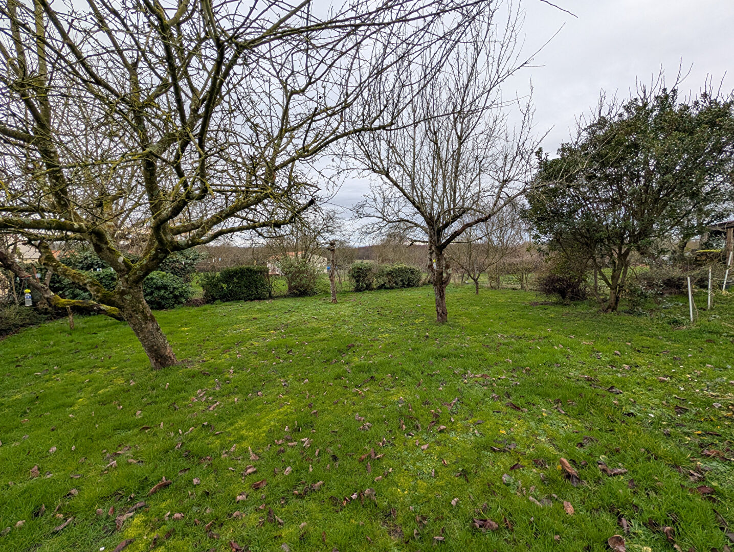 Agence immobilière de AGENCE ADI IMMOBILIER - AGENCE ADI IMMOBILIER LA MOTHE ST HERAY