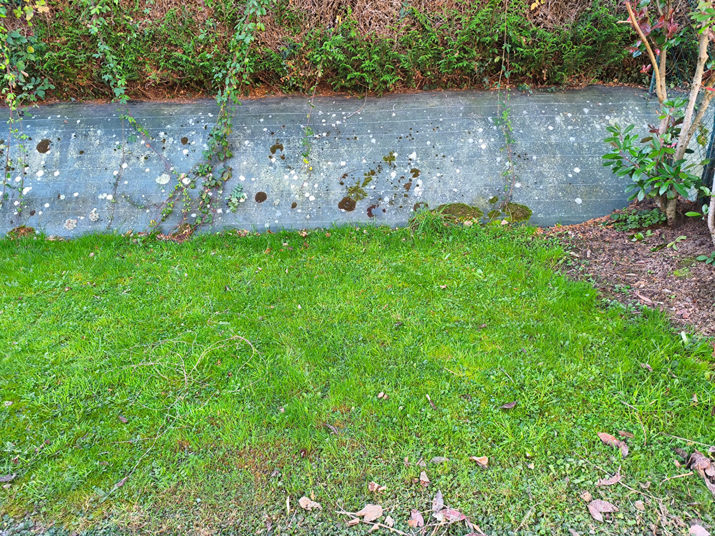 Photo VITRE Maison T5 image 3/4