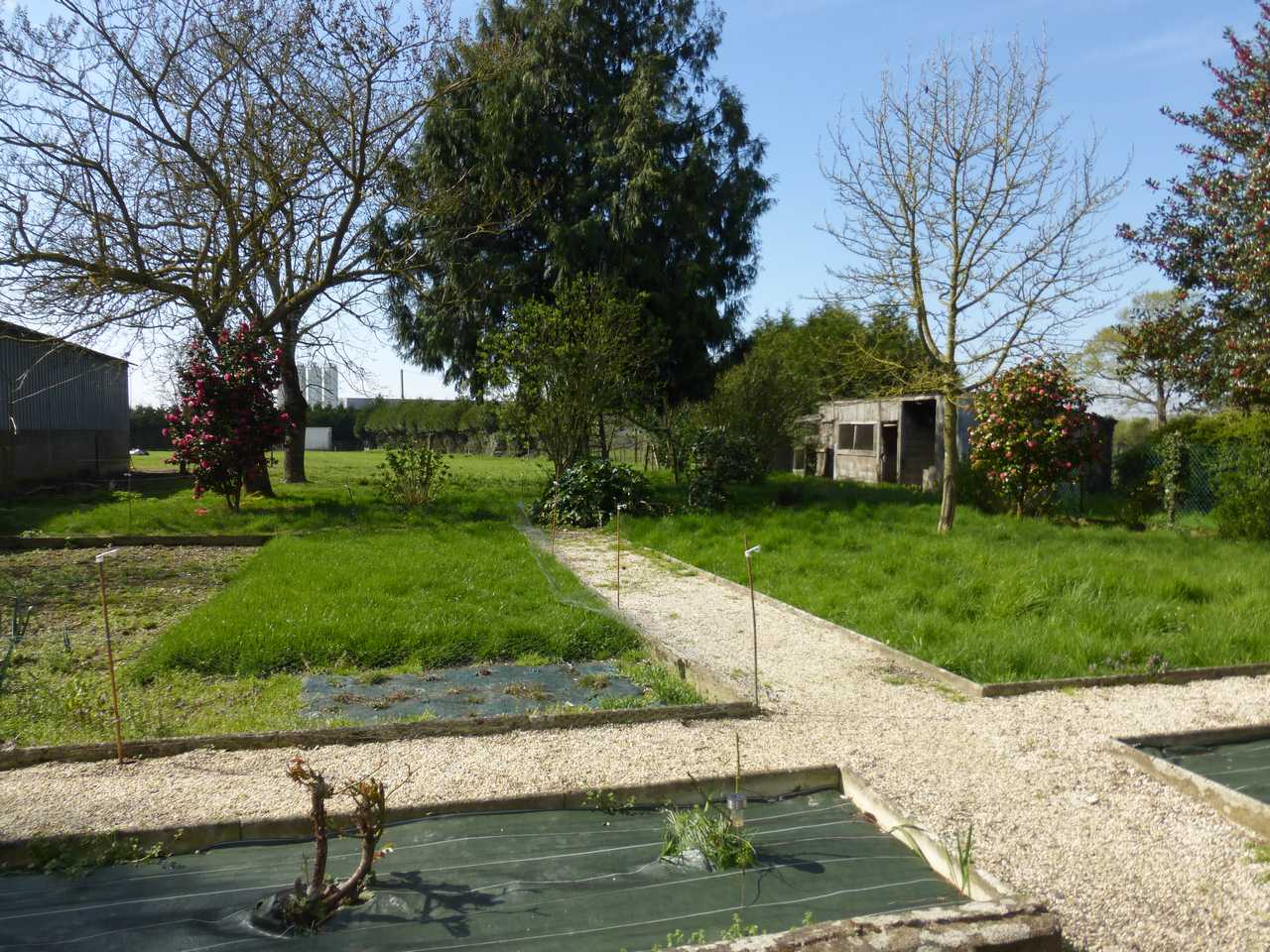 Photo MAISON  EN PIERRES T3 image 5/5