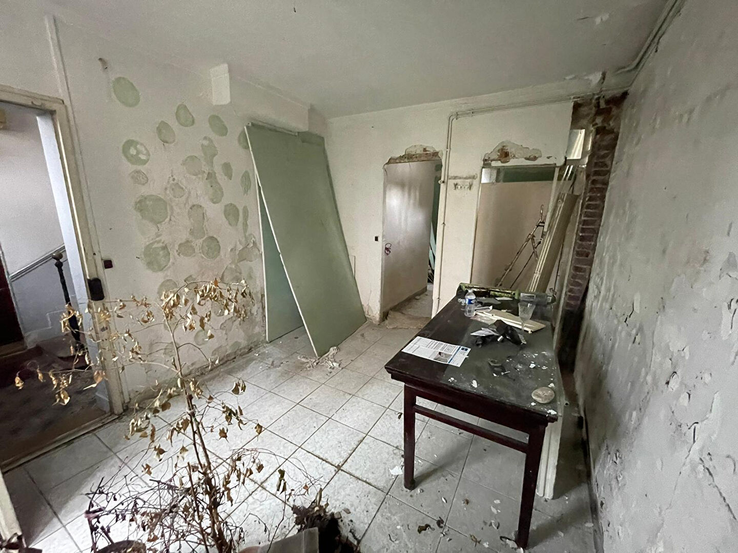 Photo ILE ST DENIS image 2/6
