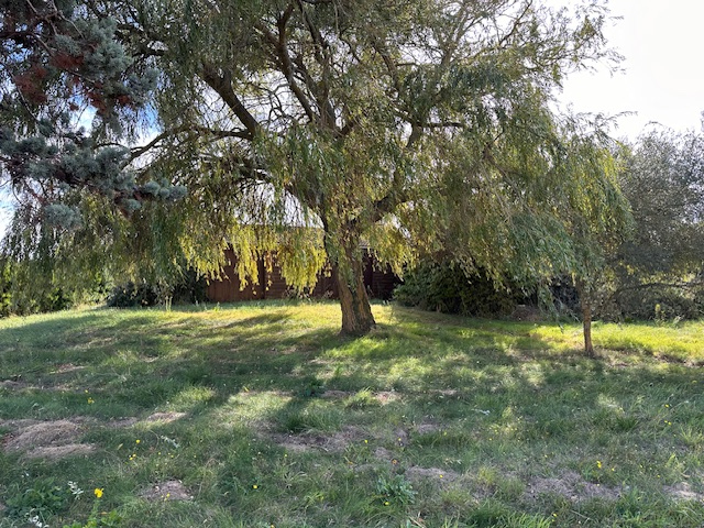 Photo Maison Les Sables D Olonne 4 pièce(s) image 2/6