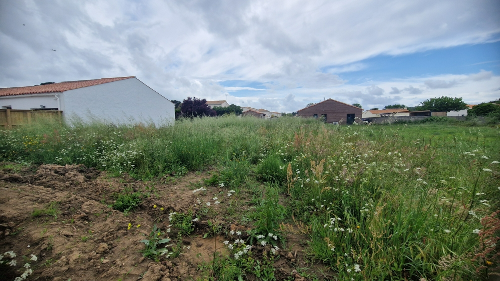Terrain à bâtir Les Sables D Olonne 713 m2