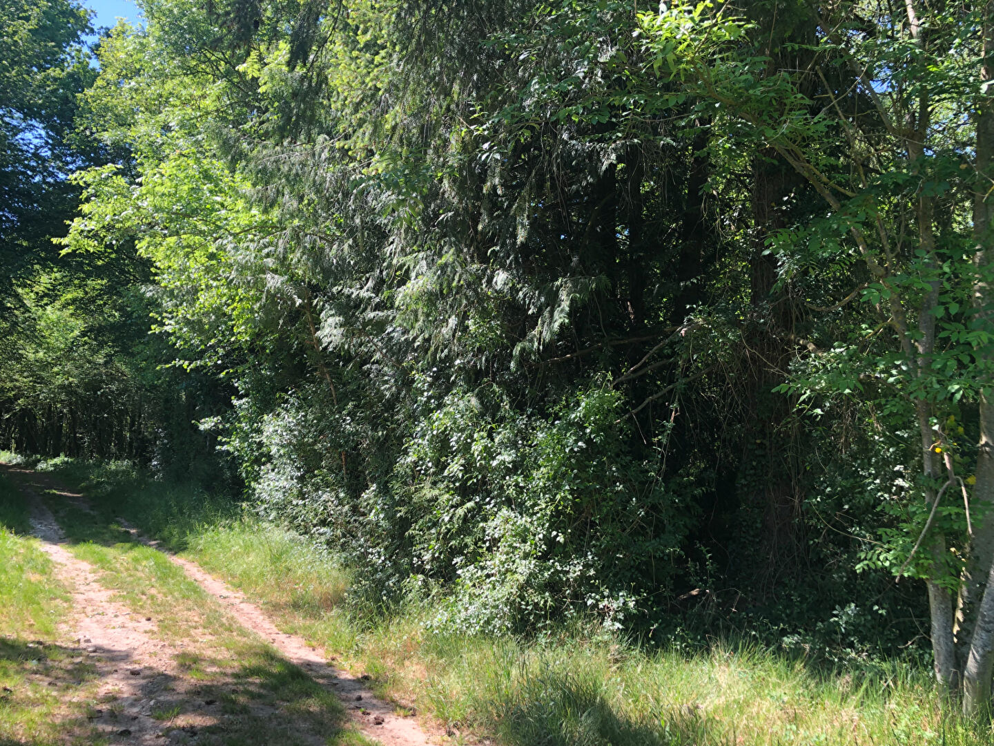 Photo TERRAIN DE LOISIRS image 1/1