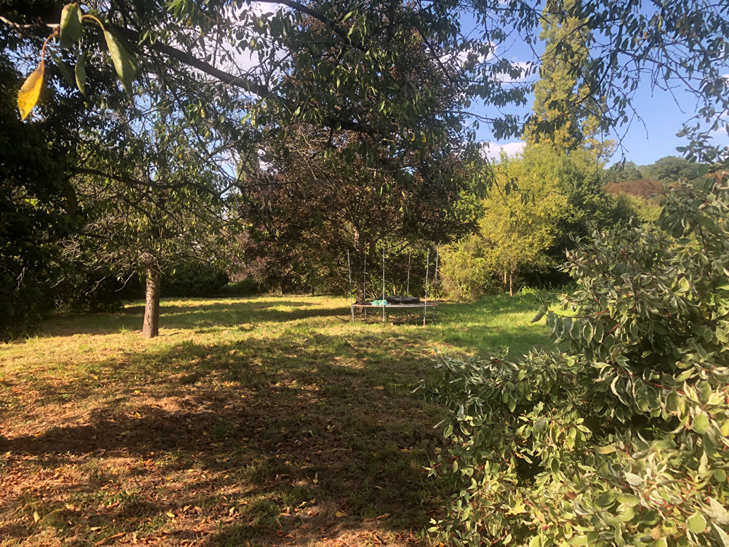 Photo Maison St Cyr Sur Morin 6 pièce(s) 140 m2 image 6/6