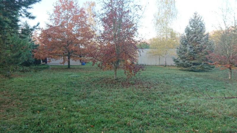Photo Terrain Saacy Sur Marne 1196 m2 image 1/1