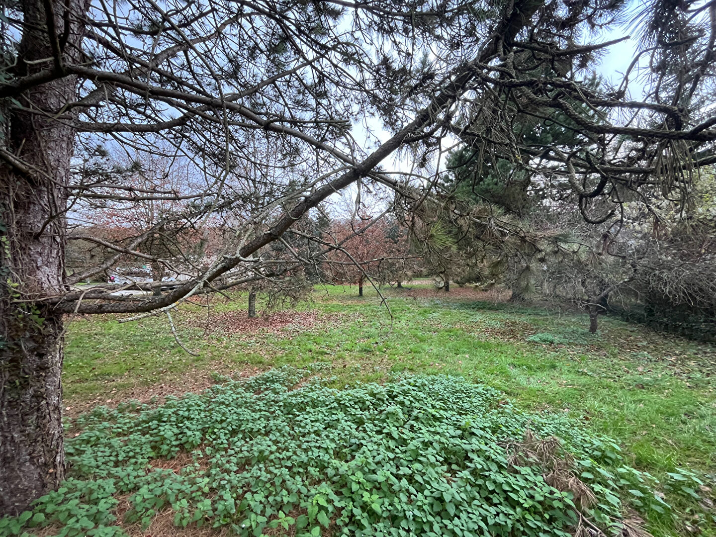 Photo Terrain Saacy Sur Marne 1203 m2 image 1/1