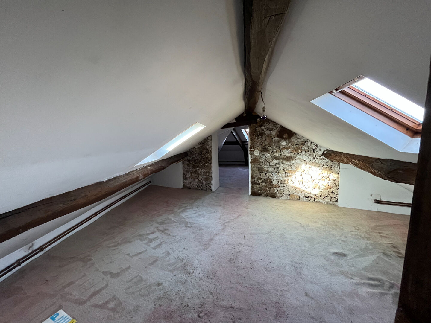 Photo IMMEUBLE EN VENTE A SAACY SUR MARNE image 4/6