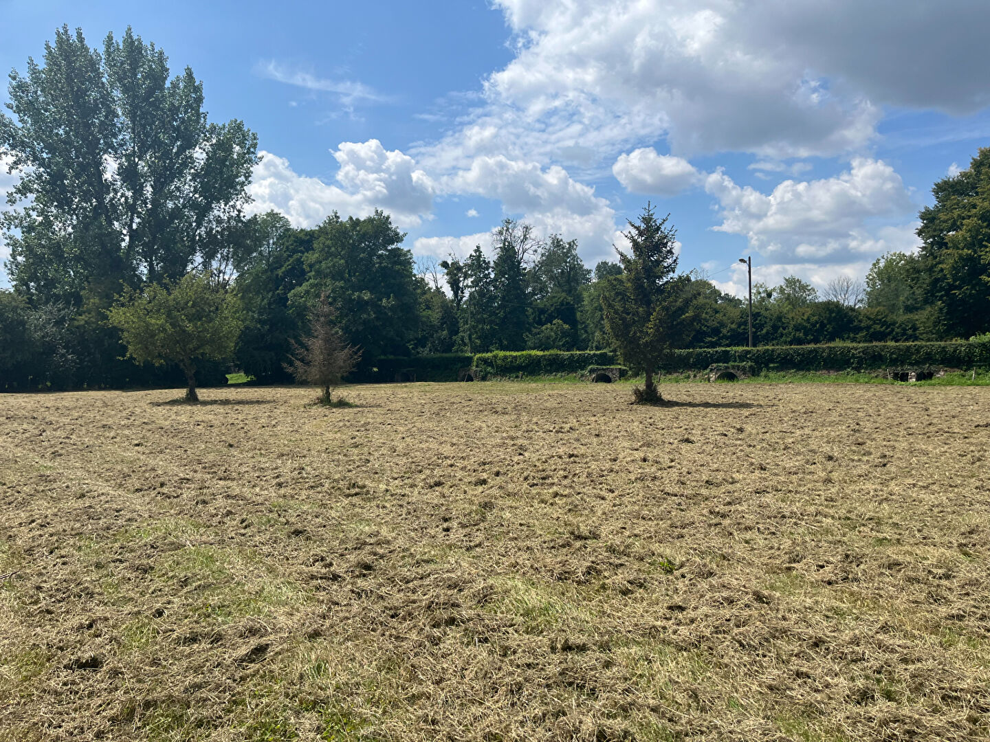 Photo Terrain Jouarre 9420 m2 image 1/1