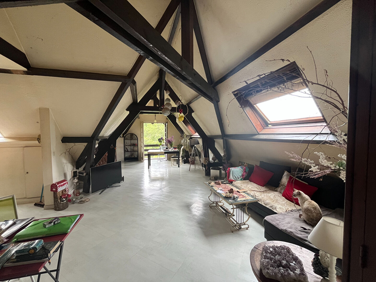 Photo Maison La Ferte Sous Jouarre 7 pièce(s) 230 m2 image 6/6