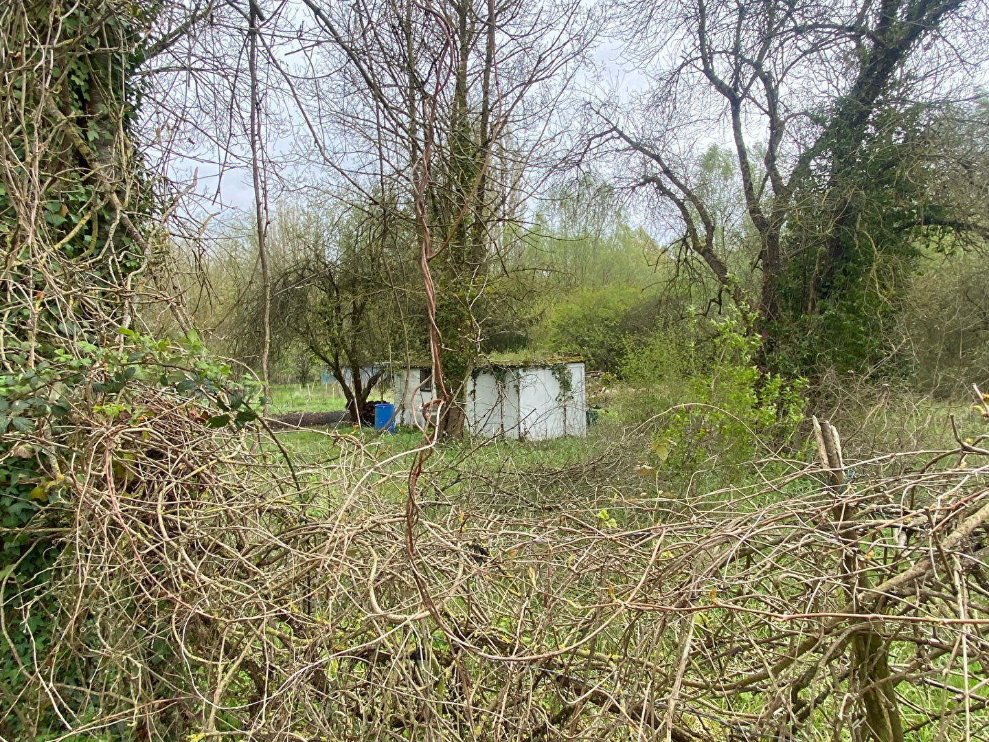 Photo MARAIS BOURGES - 2451 m2 image 2/6