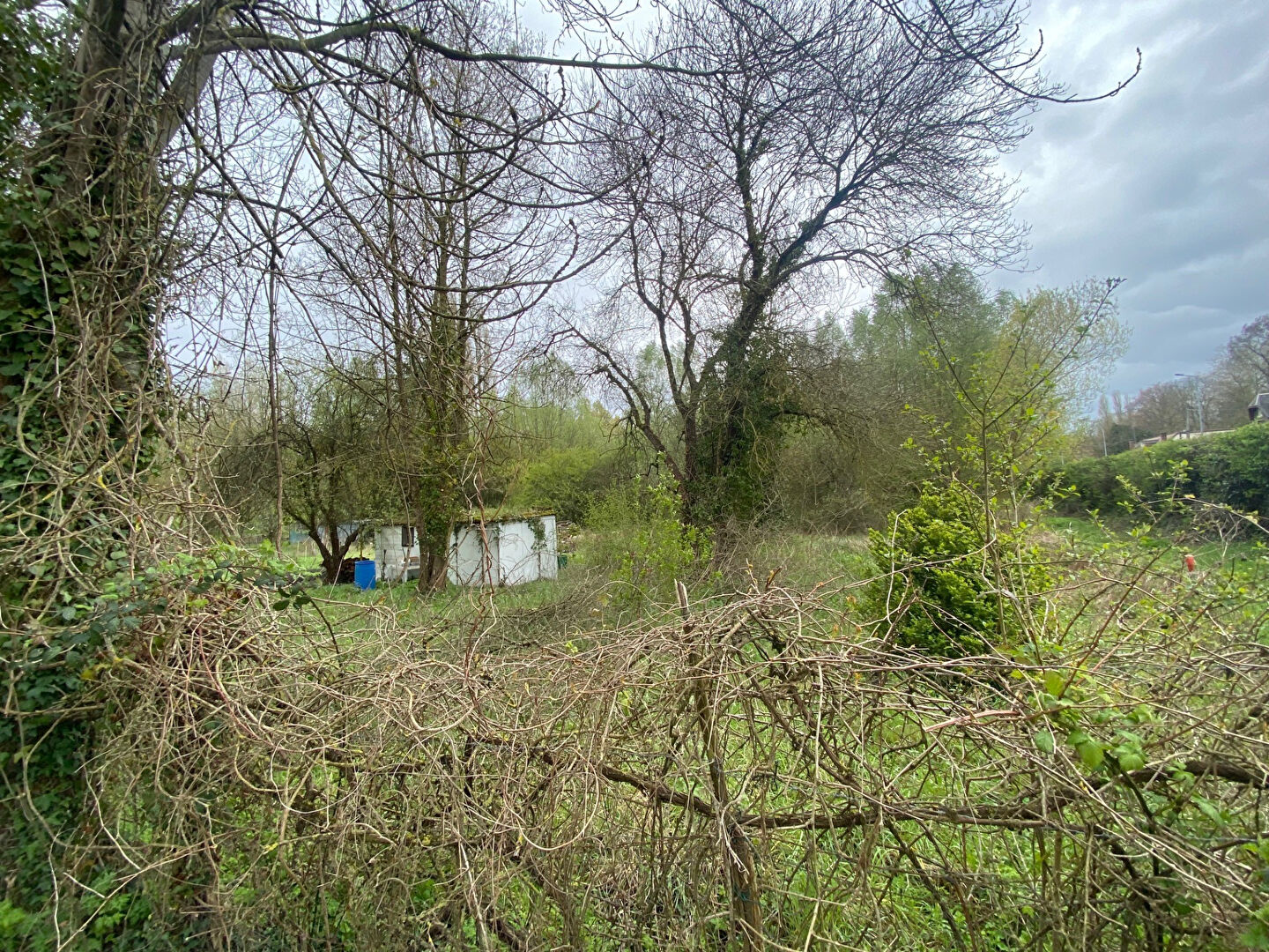 Photo MARAIS BOURGES - 2451 m2 image 3/6
