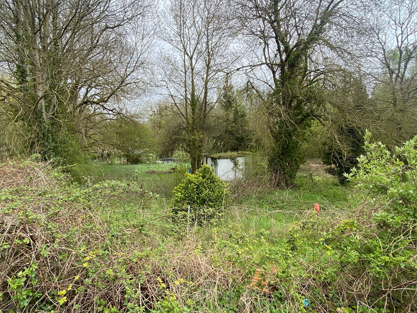 Photo MARAIS BOURGES - 2451 m2 image 4/6