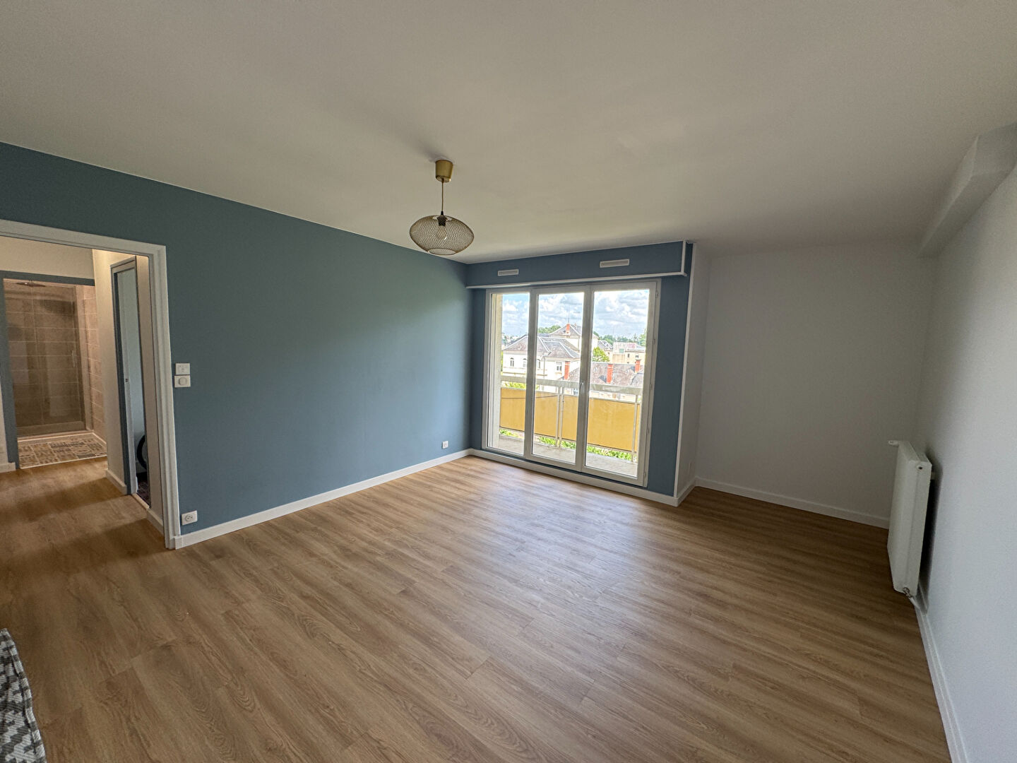 Agence immobilière de AGENCE LARZUL Bourges
