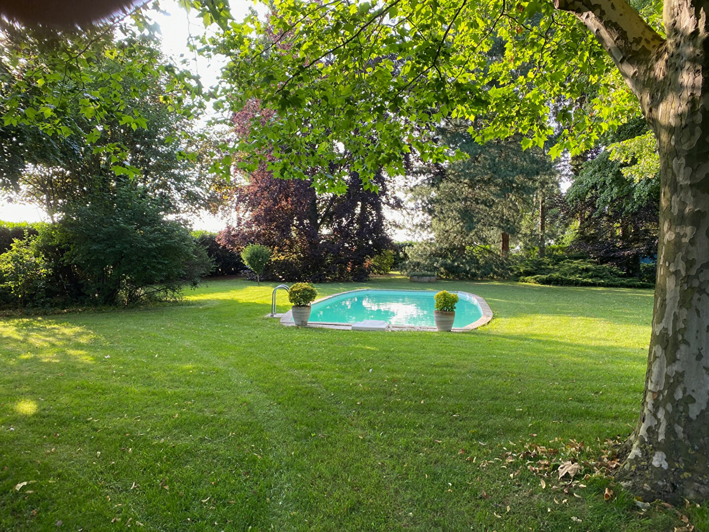Photo MAISON ARCAY 8 PIECES  188 m2 image 2/6