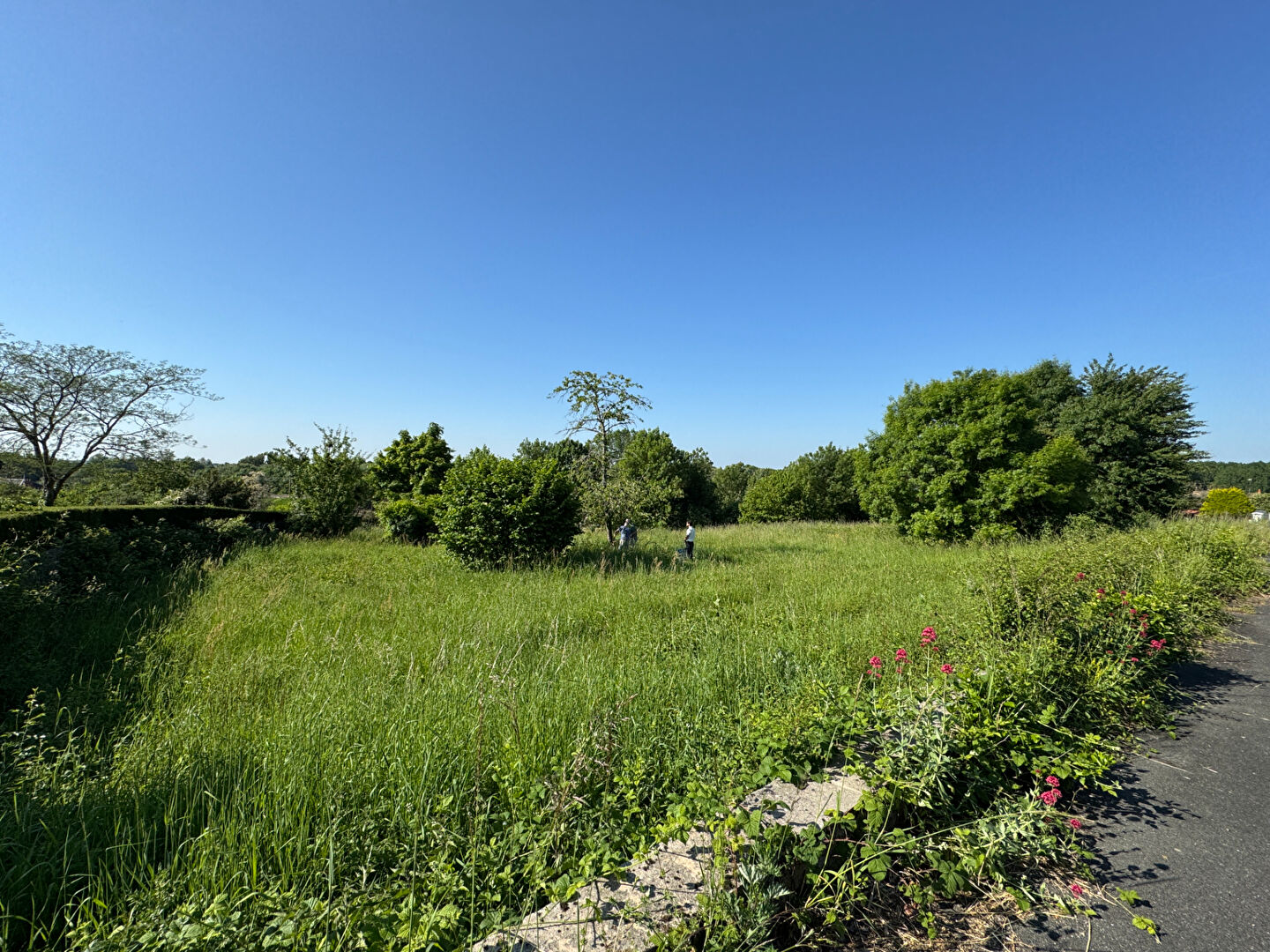 Agence immobilière de AGENCE LARZUL Bourges