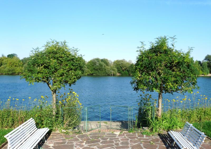 Photo VILLENNES SUR SEINE - 8 pièces - 205 m2 image 5/6