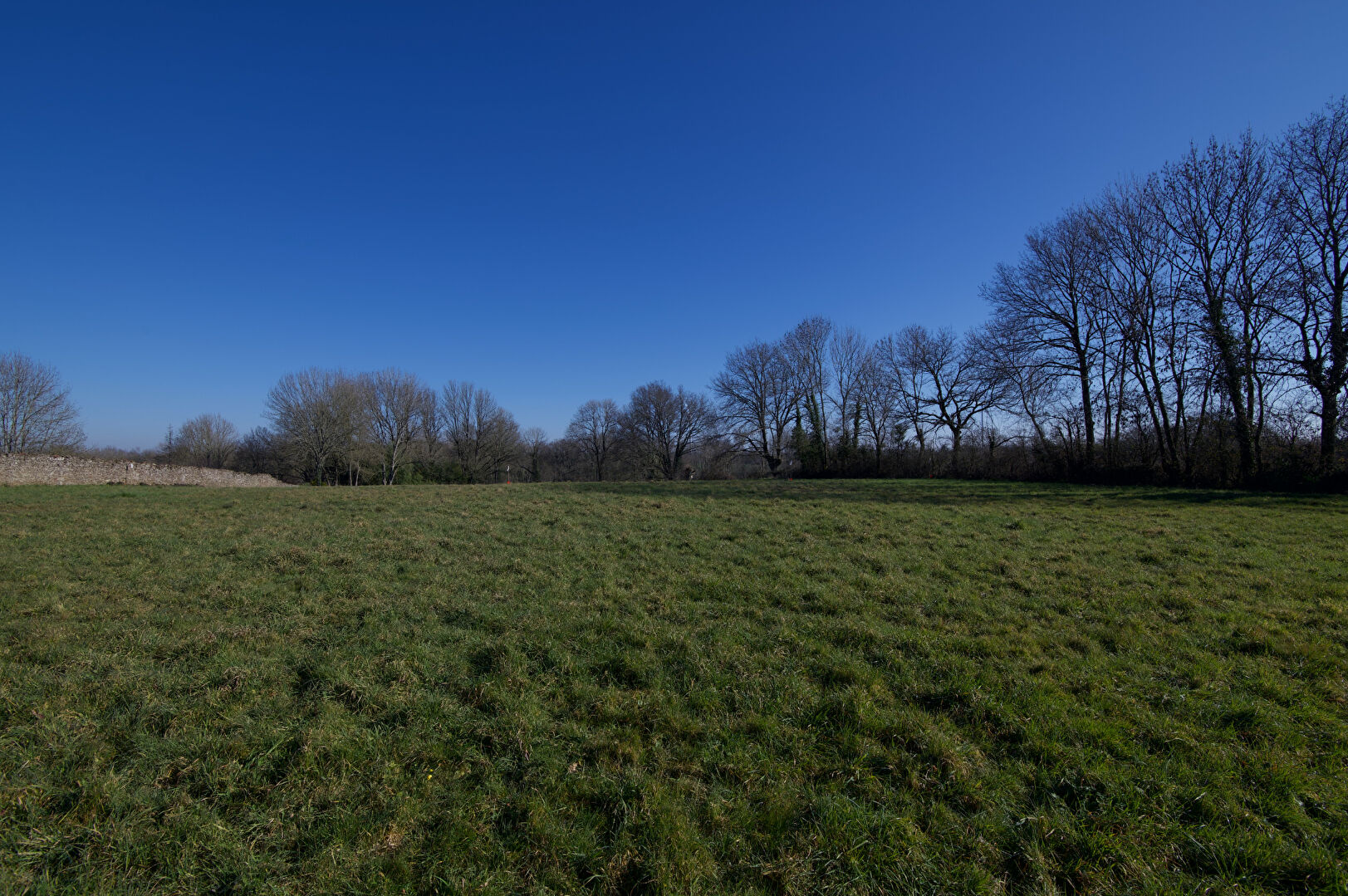 Photo SAINT LAURS - 30 MIN DE NIORT - Terrain 7000 m² image 2/4