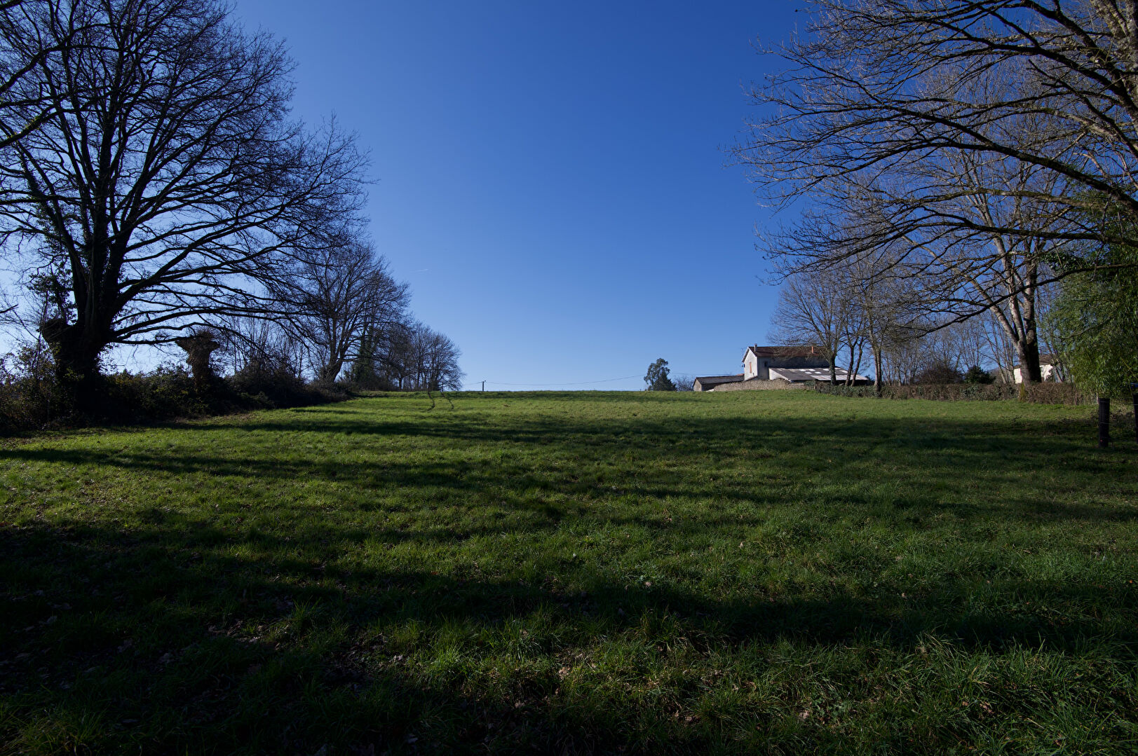 Photo SAINT LAURS - 30 MIN DE NIORT - Terrain 7000 m² image 3/4