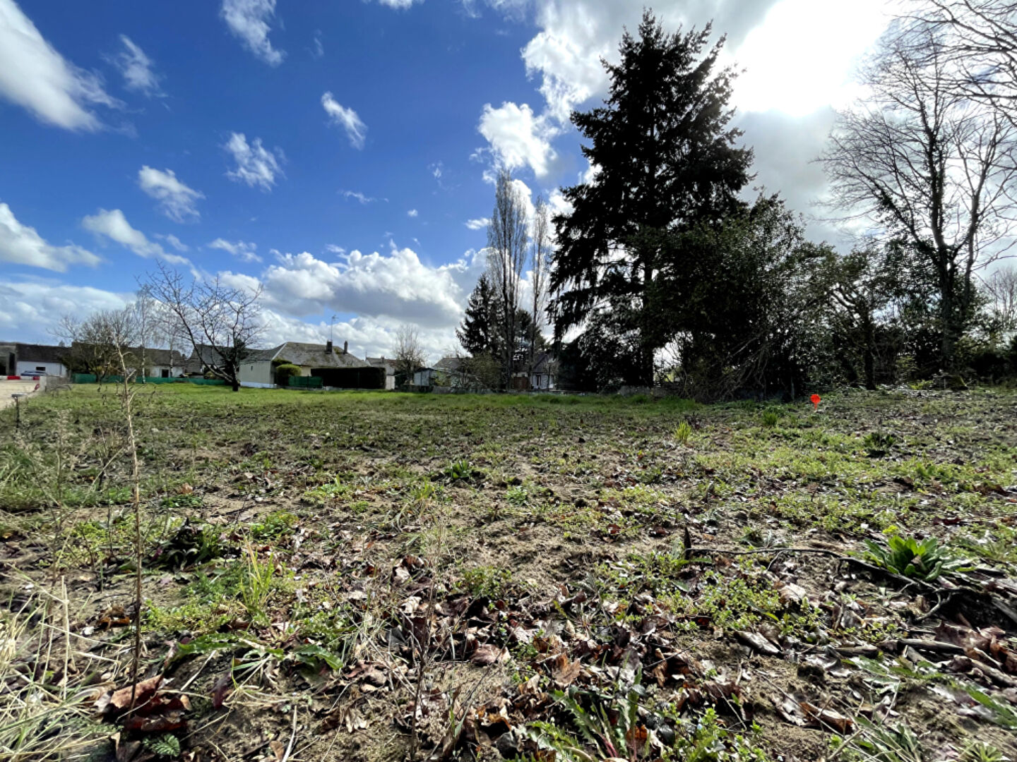 Photo Terrain Cellettes 465 m2 image 2/2