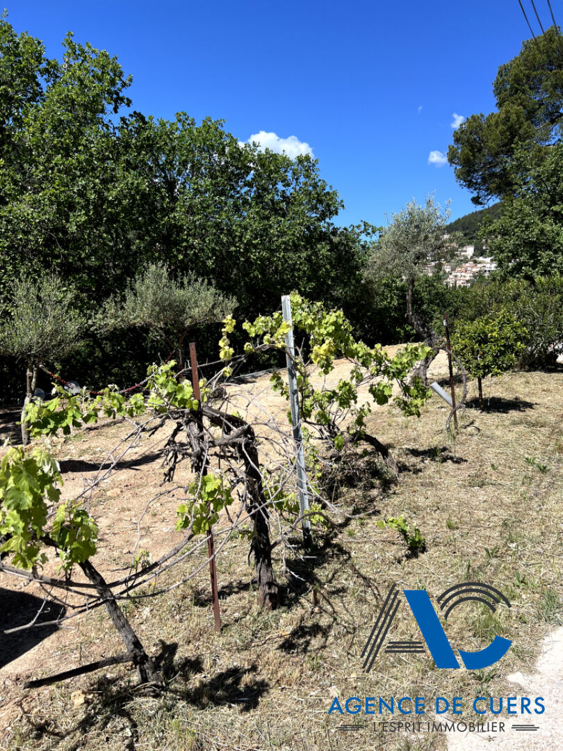 Photo Terrain Sollies Toucas 1410 m2 image 1/4