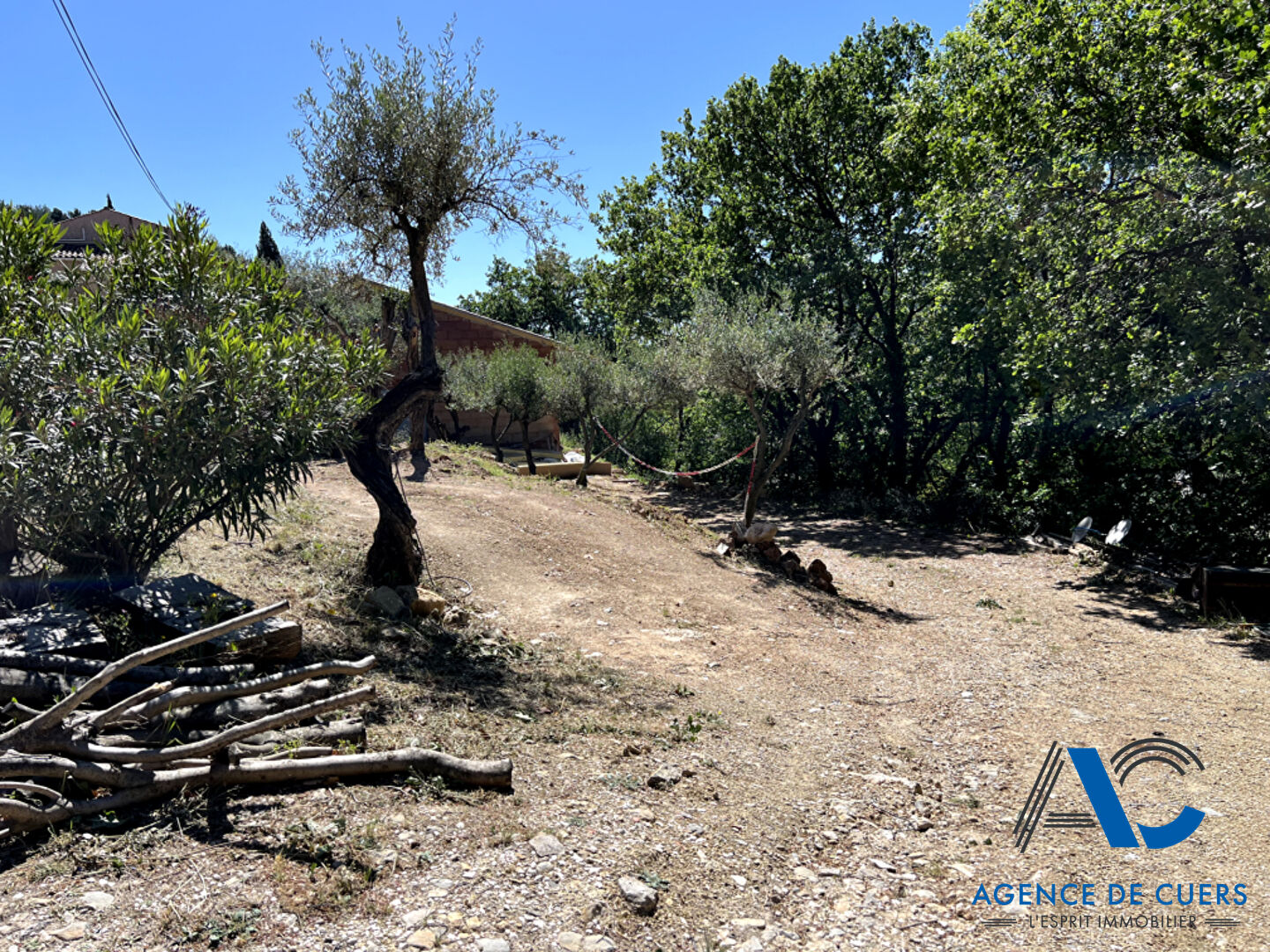 Photo Terrain Sollies Toucas 1410 m2 image 2/4