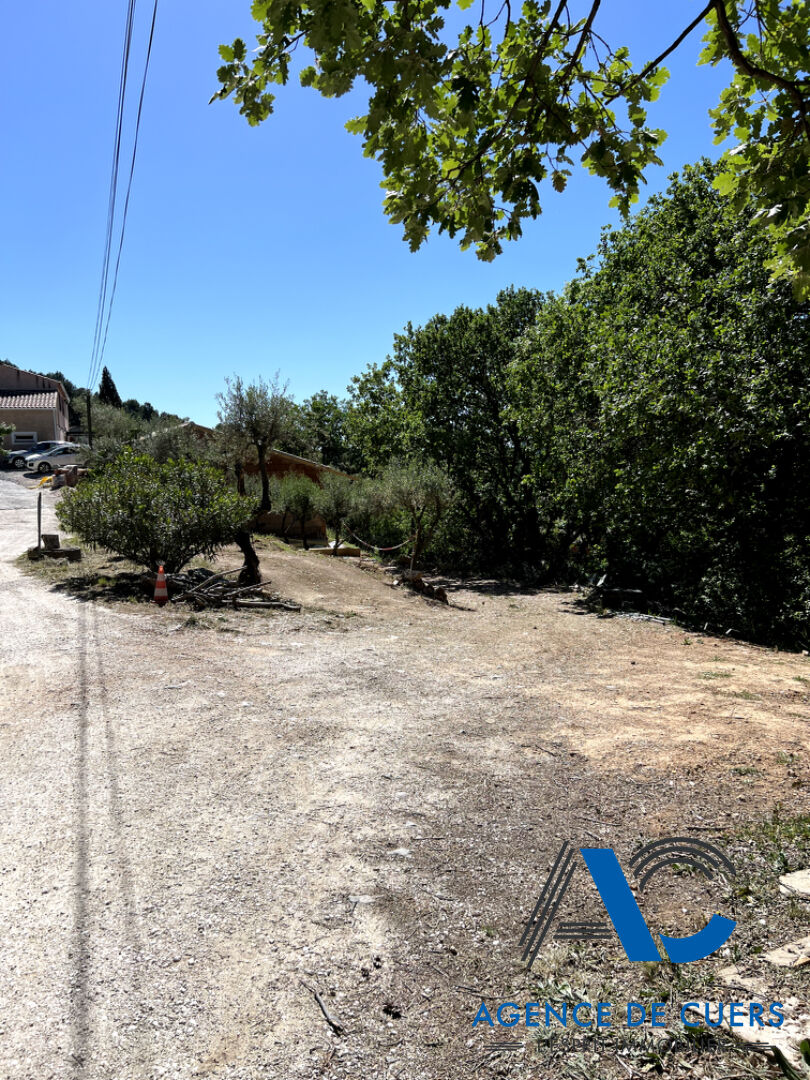 Photo Terrain Sollies Toucas 1410 m2 image 3/4