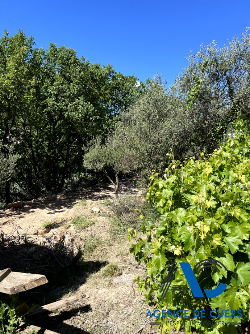 Photo Terrain Sollies Toucas 1410 m2 image 4/4