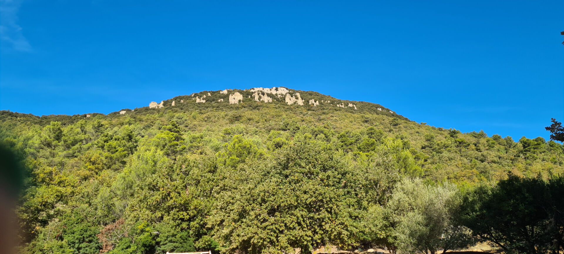 DOMAINE de 238 hectares avec ancienne bergerie et hangar