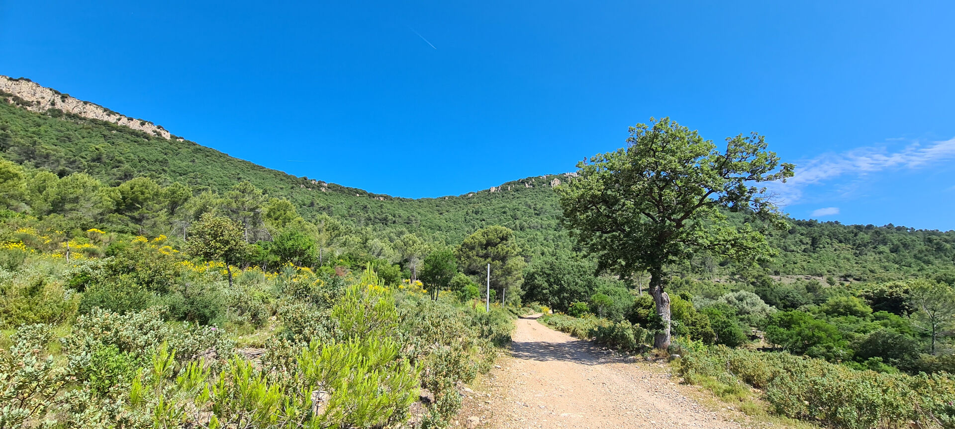 Agence immobilière de AGENCE DE CUERS - AGENCE DE CUERS