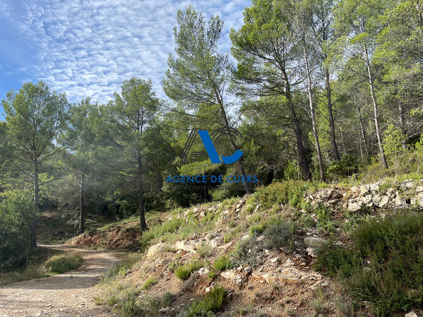 Photo Terrain en zone naturelle Solliès-Toucas 30000 m² image 4/6