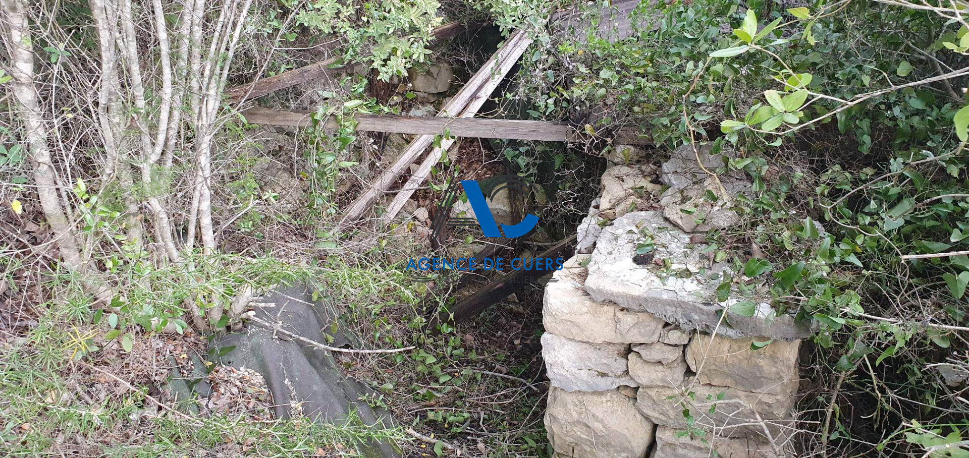 Photo Terrain en zone naturelle Solliès-Toucas 30000 m² image 5/6