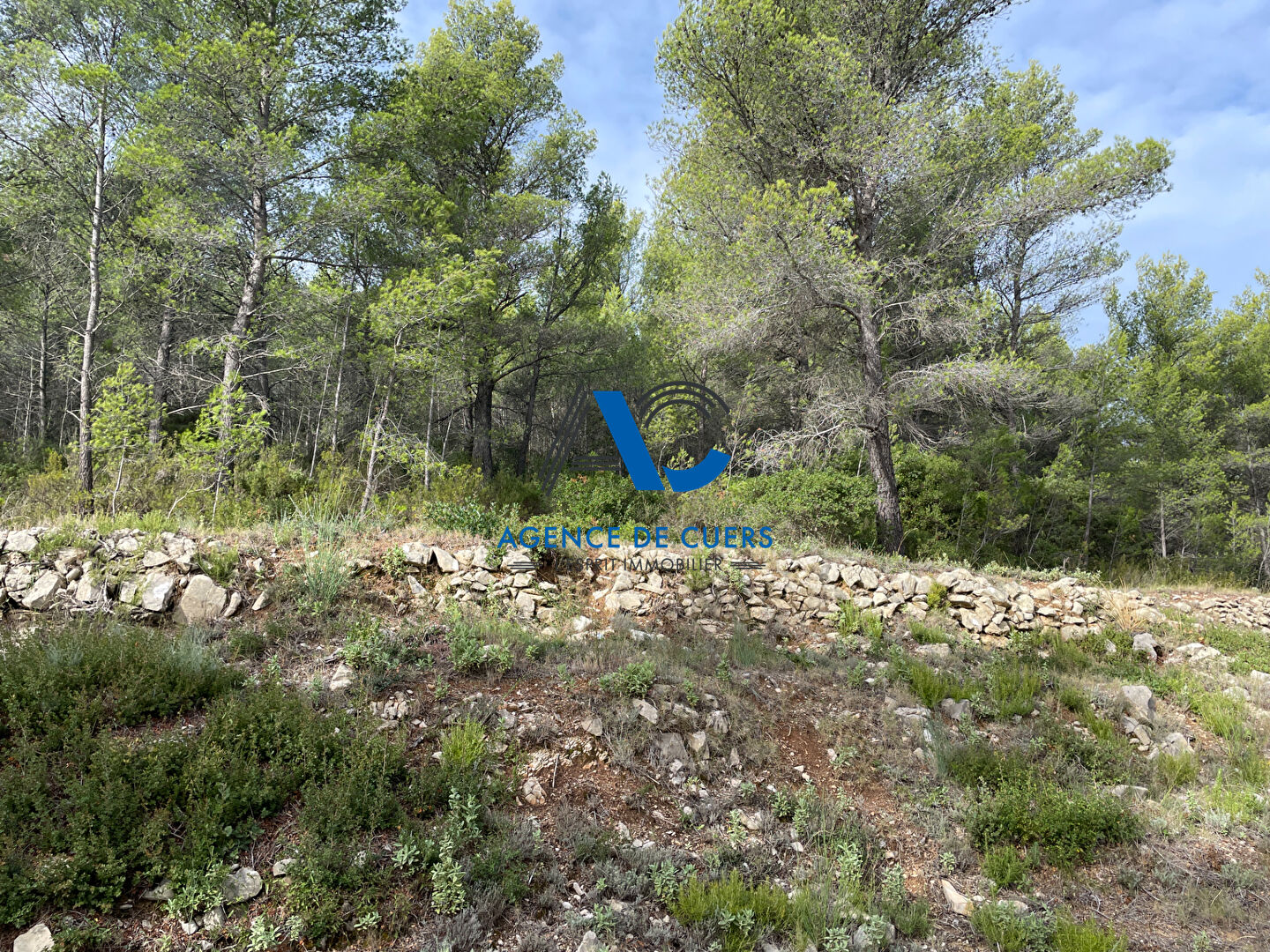 Photo Terrain en zone naturelle Solliès-Toucas 30000 m² image 6/6