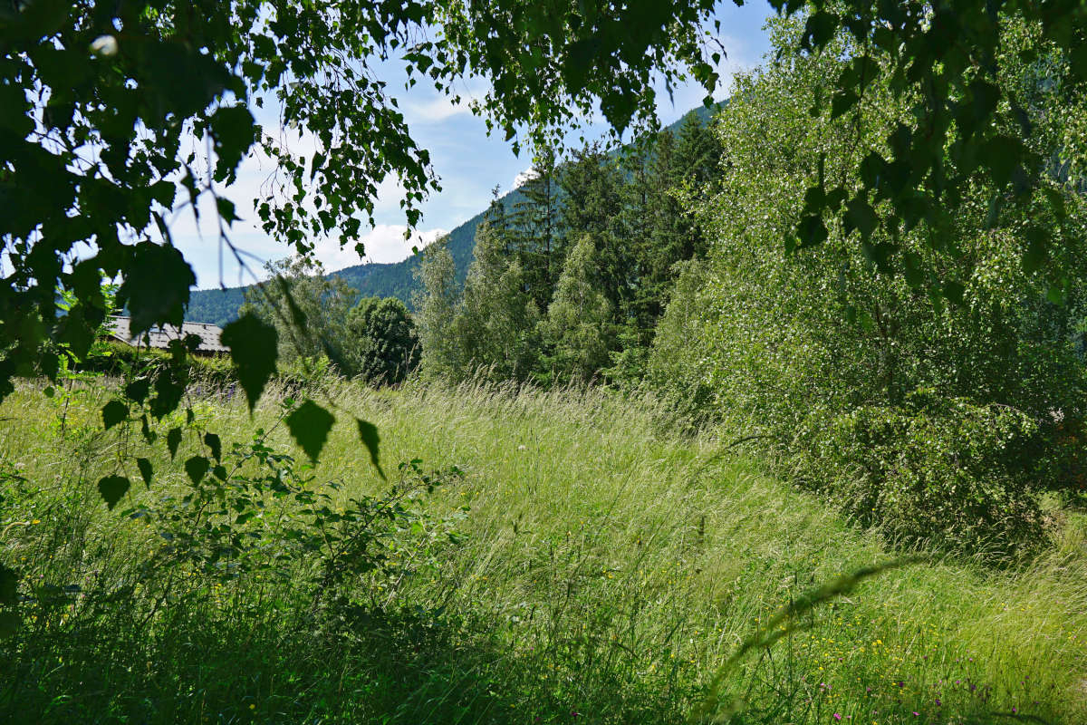 Agence immobilière de AGENCE IMMOBILIERE MODERNE Chamonix