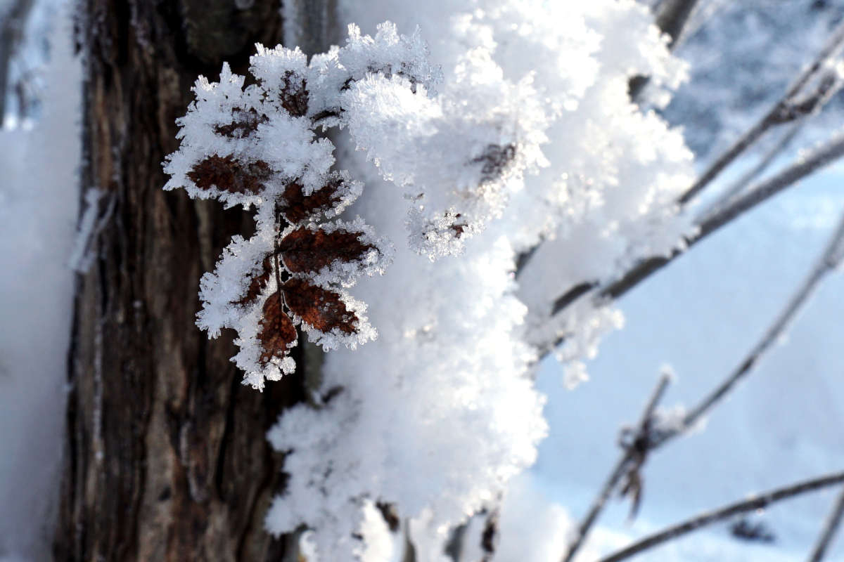 Agence immobilière de AGENCE IMMOBILIERE MODERNE Chamonix