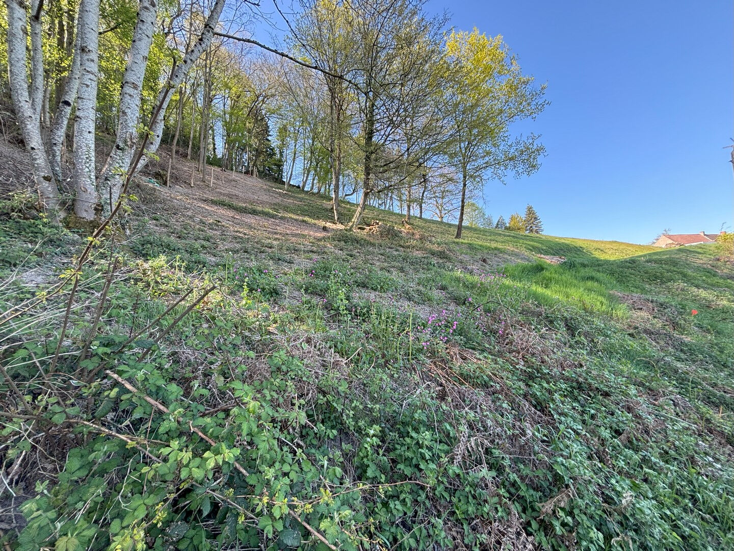 Terrain à bâtir