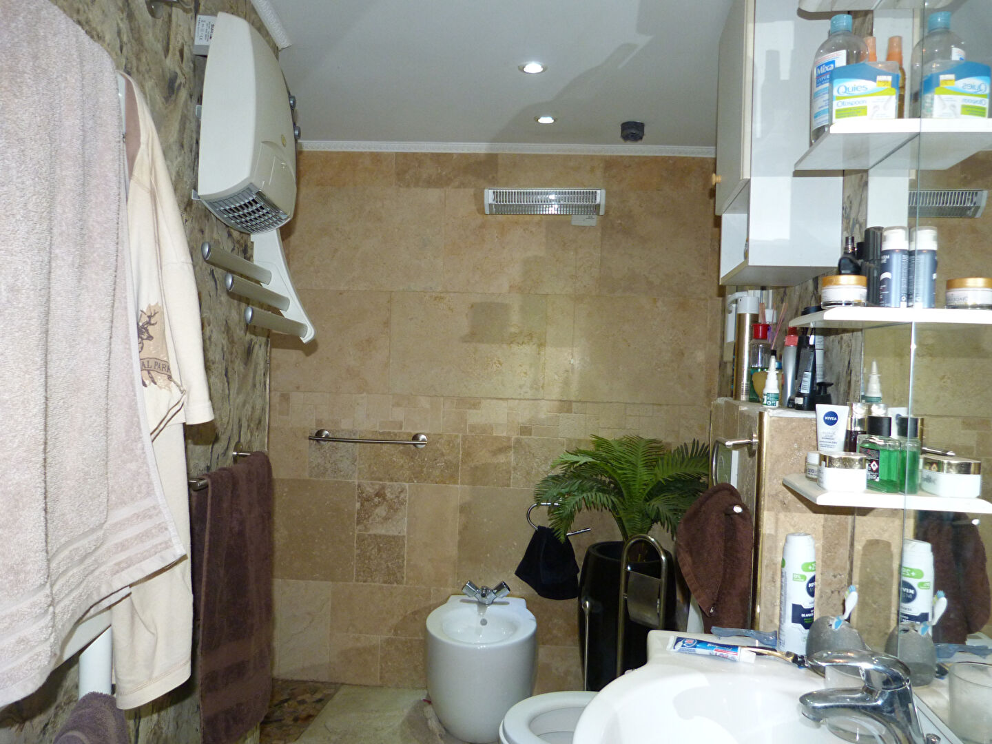 Photo LOT ECHOPPE T2 AVEC ATELIER et T2 loué image 6/6