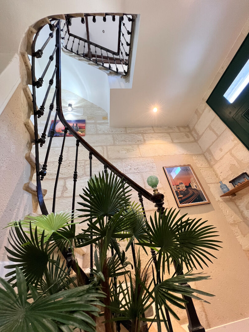 Photo Appartement Talence 3 pièce(s) - image 4/6