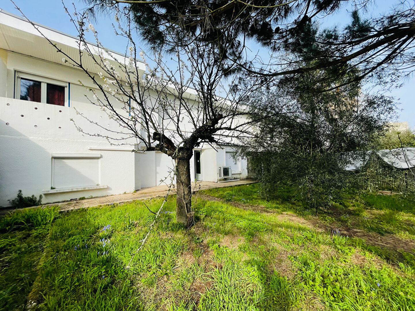 Photo Maison 6 pièces Pessac image 2/6