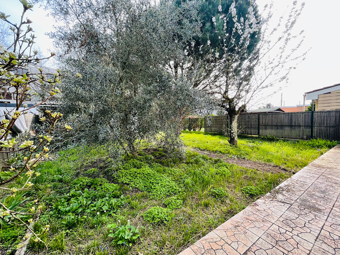 Photo Maison 6 pièces Pessac image 3/6