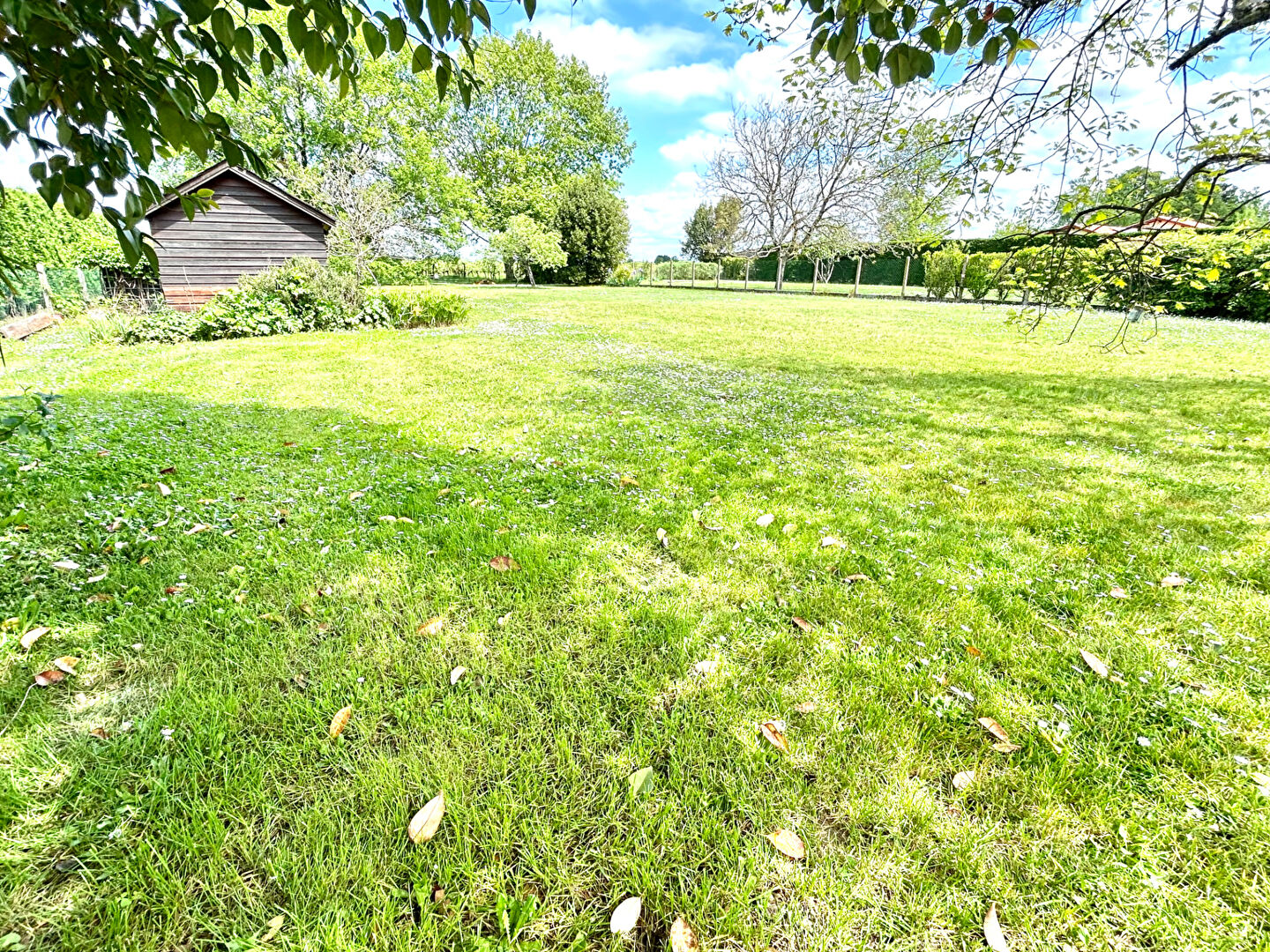 Photo Maison Libourne image 2/6