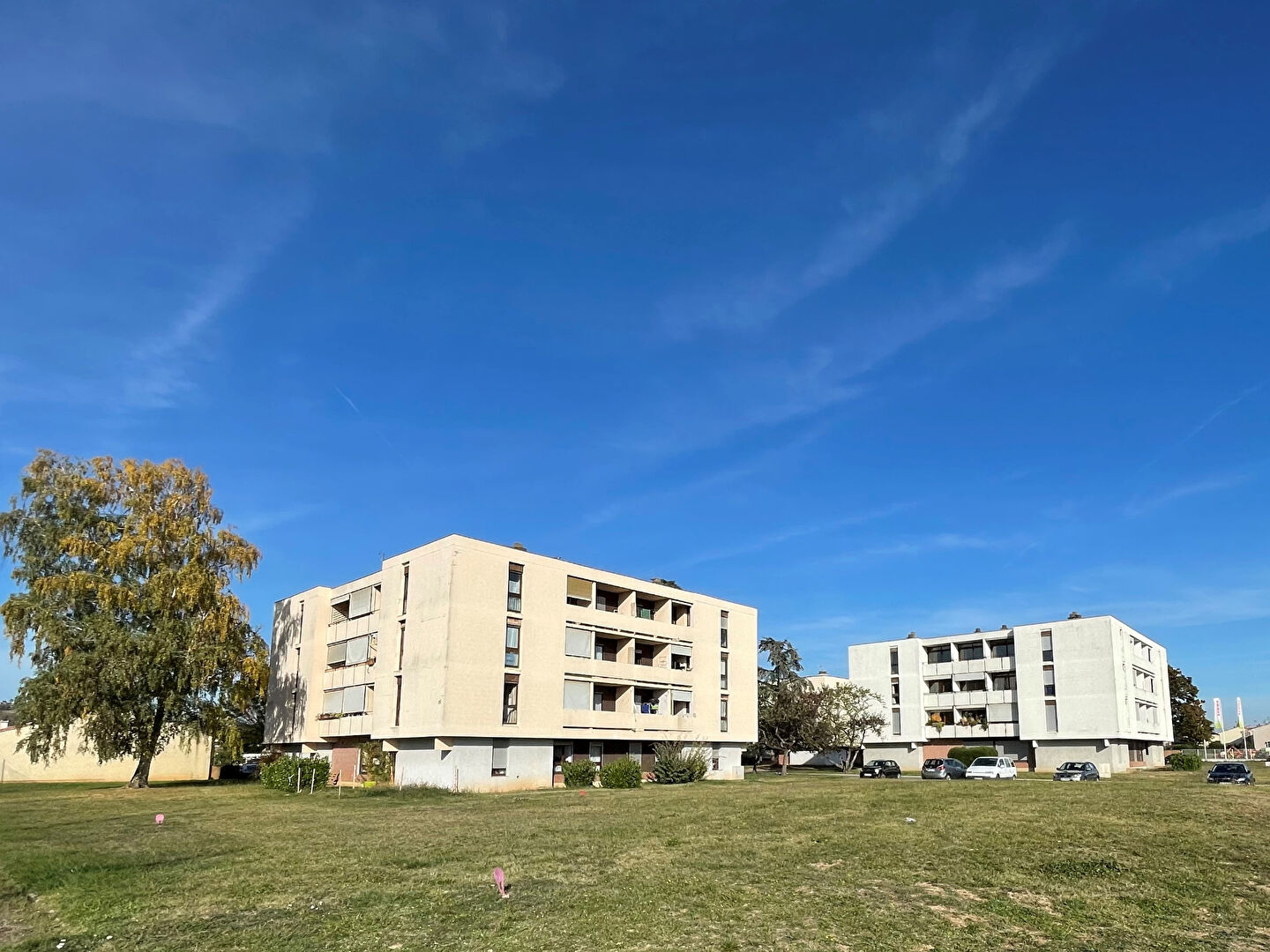 Agence immobilière de AGIAL GESTION Albi