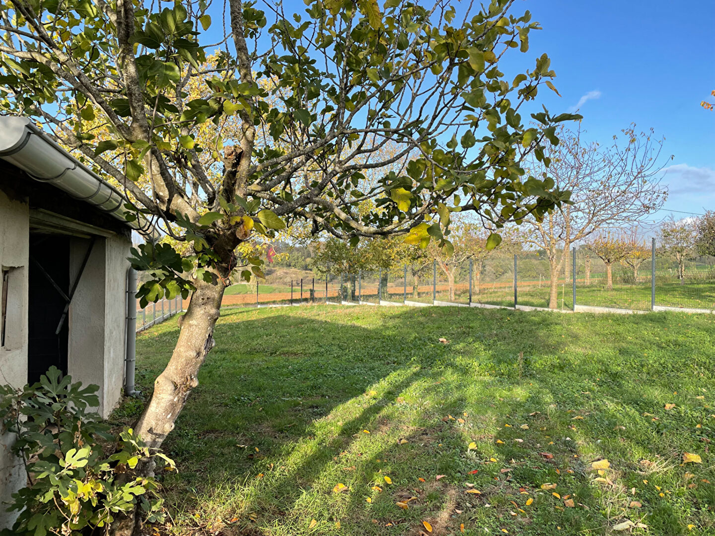 Agence immobilière de AGIAL GESTION Albi