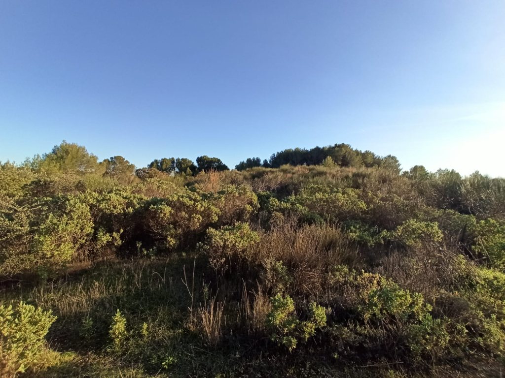 Photo CABRIERES Terrain Agricole - 3525m² image 2/6