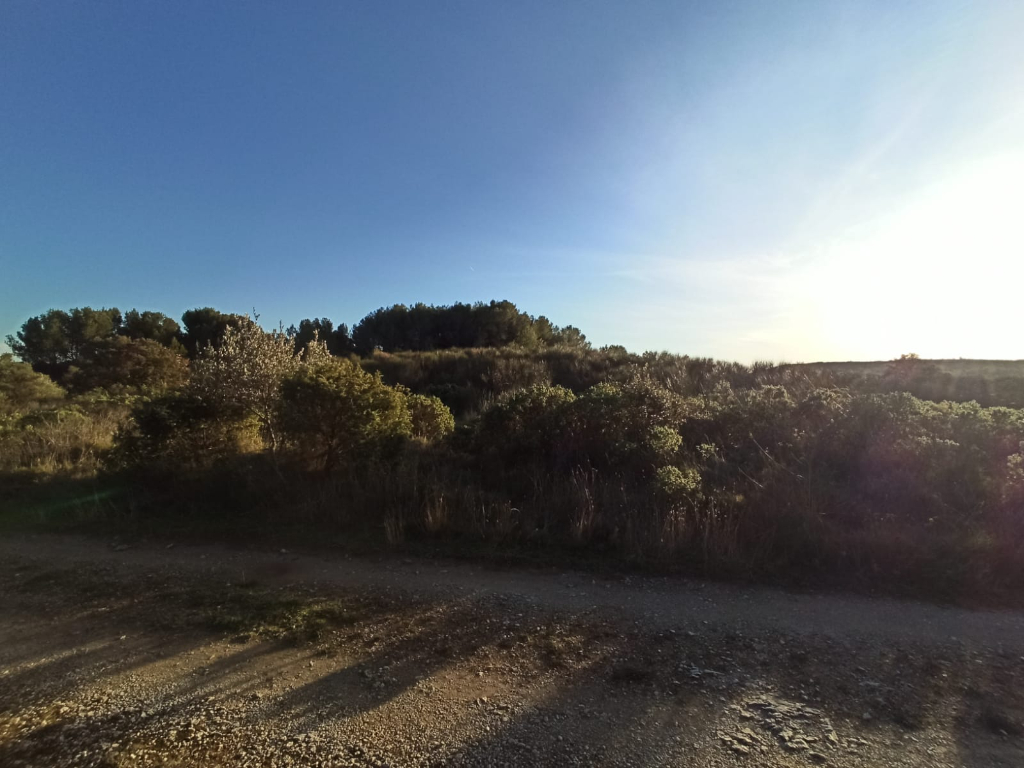 Photo CABRIERES Terrain Agricole - 3525m² image 5/6