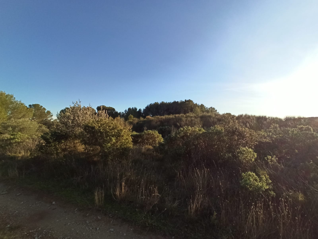 Photo CABRIERES Terrain Agricole - 3525m² image 6/6