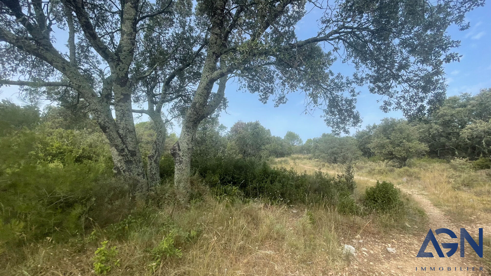 Photo A VENDRE : Terrain Agricole - Clarensac 1880 m2 image 2/6