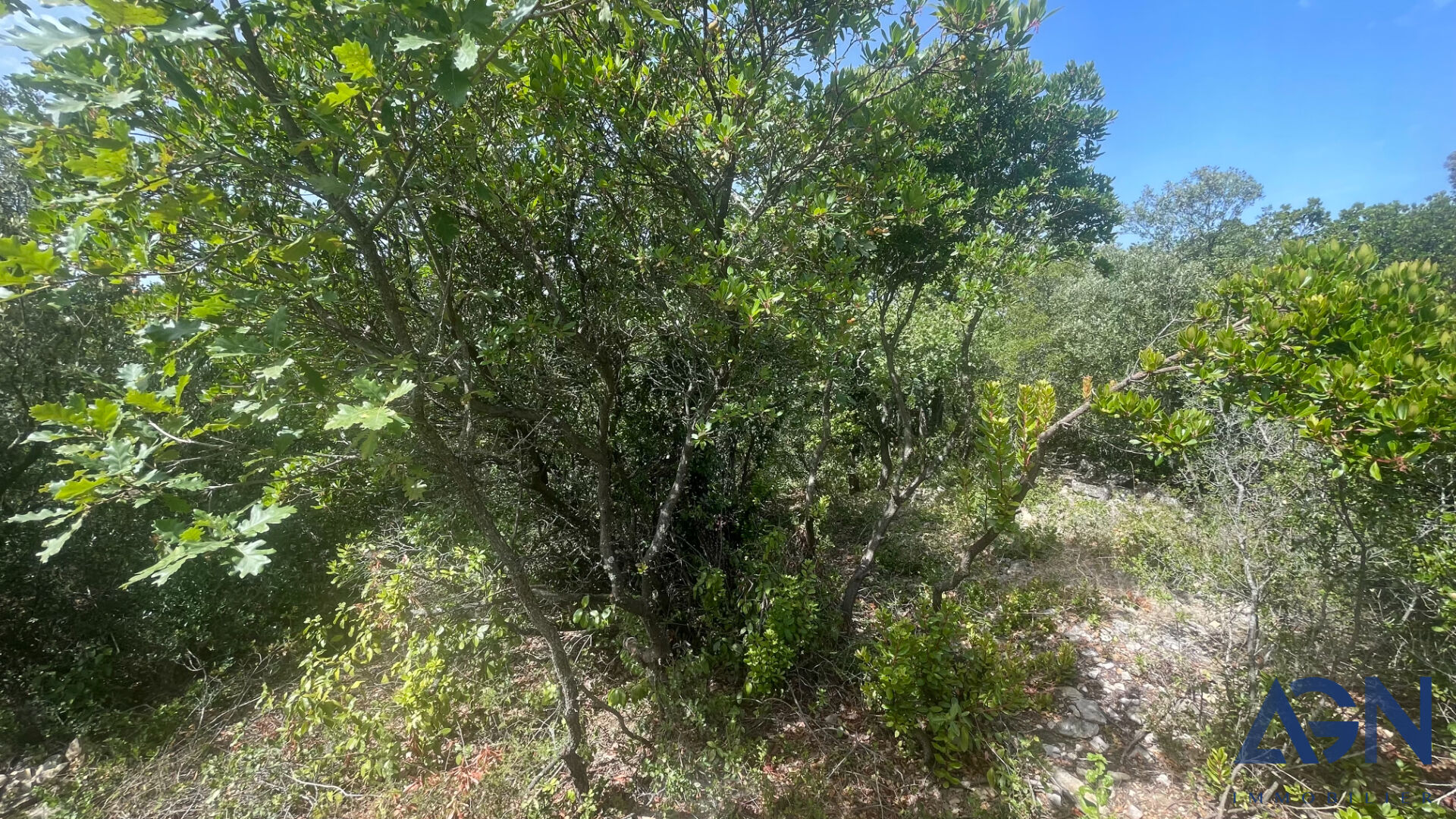 Photo À VENDRE CLARENSAC : TERRAIN DE 1 480 m² image 2/5