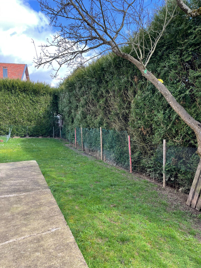 Photo Maison Tucquegnieux 4 pièces image 4/6