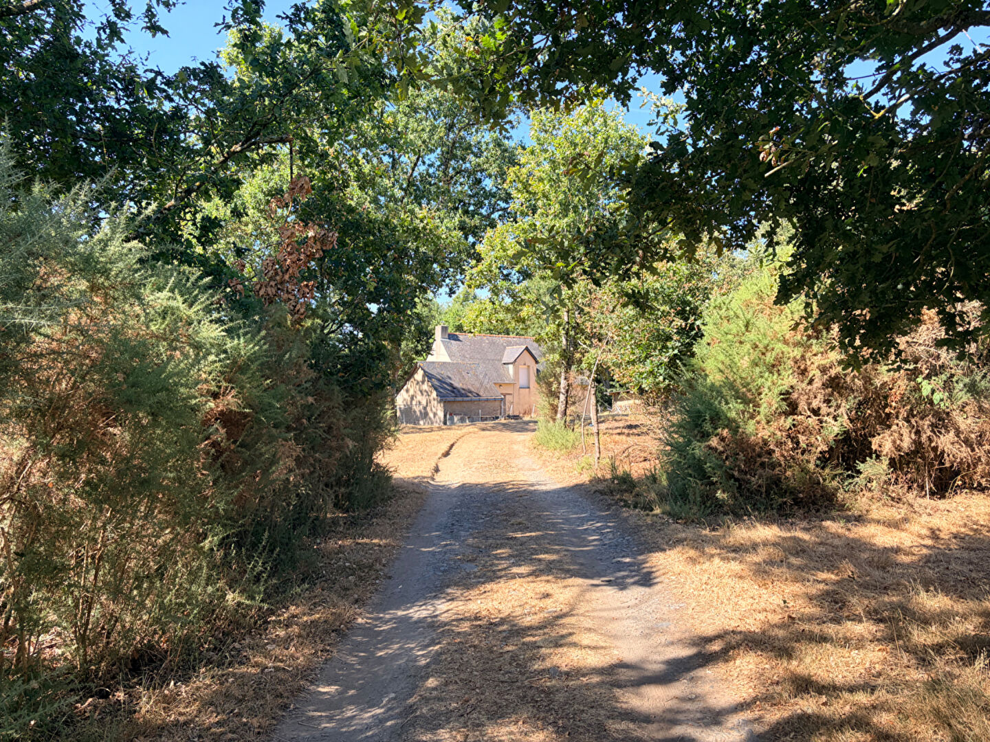 Ensemble  Maison, dépendances sur  1 Hectare 4 de terrain - photo 12