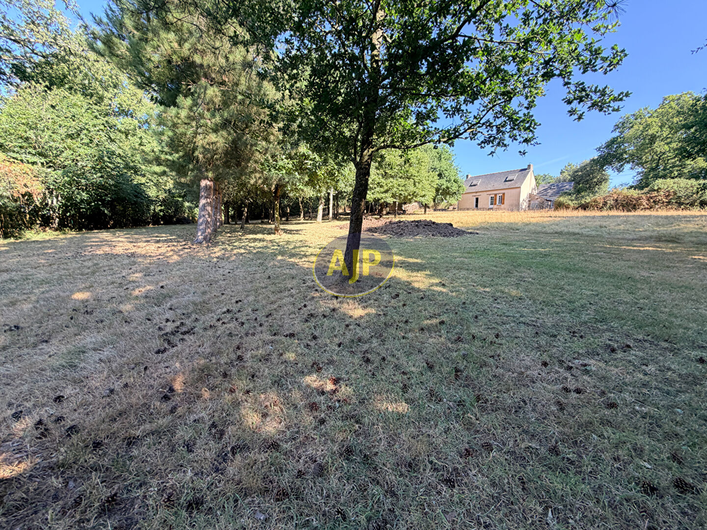 Ensemble  Maison, dépendances sur  1 Hectare 4 de terrain - photo 1